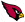 Arizona Cardinals