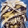 Iron Maiden