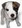 dog lover