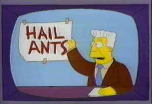 Kent Brockman's Photo